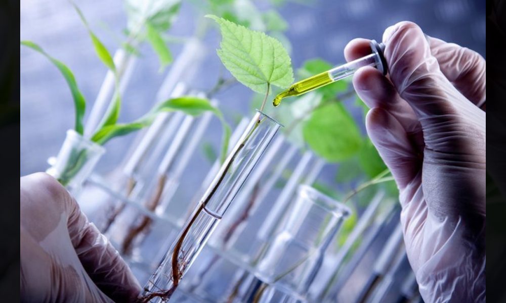 Best Biotechnology Startups in India,Startup Stories,Biotechnology Companies in India,Biotechnology Startups,Biotech Startups,Biotech Startups India,Top Biotech Startups 2019,Biotechnology Industry in India,Biotech Entrepreneurs