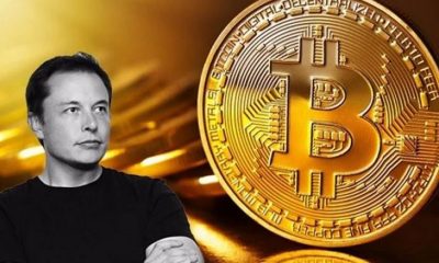 Elon Musk Tweets About Bitcoin Bull Run And Loses $ 15 Billion,Startup Stories,Elon Musk,Elon Musk Latest News,Elon Musk's wealth tumbles by $15 billion after Tesla shares dropped 9% in one day,Elon Musk Responds To Critical Tweet With A Single Emoji,Starlink Broadband Will Boost Speeds To 300Mbps But Elon Musk Doesn’t Say If It’s At The Same Price,Elon Musk's Starlink promises higher internet speed as it tests system upgrades,Elon Musk Loses World's Richest Tag As One Tweet Costs Him $15 Billion,Tesla Chief Elon Musk Explains The Need For Expensive Cars,Elon Musk Makes a Short Update on Cybertruck's Final Design,Elon Musk loses $15 billion in a day after Bitcoin warning,Elon Musk no longer the world's richest man. Loses $15.2 billion after a tweet
