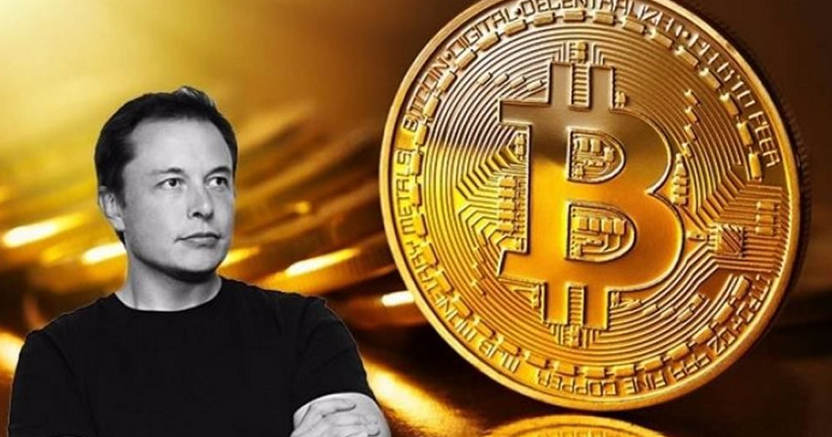 Elon Musk Tweets About Bitcoin Bull Run And Loses $ 15 Billion,Startup Stories,Elon Musk,Elon Musk Latest News,Elon Musk's wealth tumbles by $15 billion after Tesla shares dropped 9% in one day,Elon Musk Responds To Critical Tweet With A Single Emoji,Starlink Broadband Will Boost Speeds To 300Mbps But Elon Musk Doesn’t Say If It’s At The Same Price,Elon Musk's Starlink promises higher internet speed as it tests system upgrades,Elon Musk Loses World's Richest Tag As One Tweet Costs Him $15 Billion,Tesla Chief Elon Musk Explains The Need For Expensive Cars,Elon Musk Makes a Short Update on Cybertruck's Final Design,Elon Musk loses $15 billion in a day after Bitcoin warning,Elon Musk no longer the world's richest man. Loses $15.2 billion after a tweet