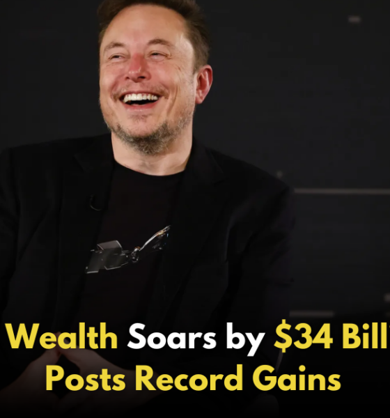 Elon Musk’s Wealth Skyrockets by $34 Billion as Tesla Bounces Back!,Startup Stories,Startup Stories India,Inspirational Stories 2024,Latest Technology News and Updates,2024 Technology News,Tech News,startup news,Elon Musk net worth increase,Tesla stock rebound,Musk wealth surge,Tesla financial performance,Elon Musk billionaires list,Tesla market recovery,Musk wealth $34 billion,Tesla shares performance,Investment in Tesla,Billionaire news Elon Musk,Musk financial news,Tesla profitability,Stock market trends Tesla,Elon Musk business success,Tesla investor confidence,Elon Musk Wealth,Elon Musk Net Worth,Elon Musk Market Position,Elon Musk Future Plans for Tesla,Elon Musk,Elon Musk Tesla,